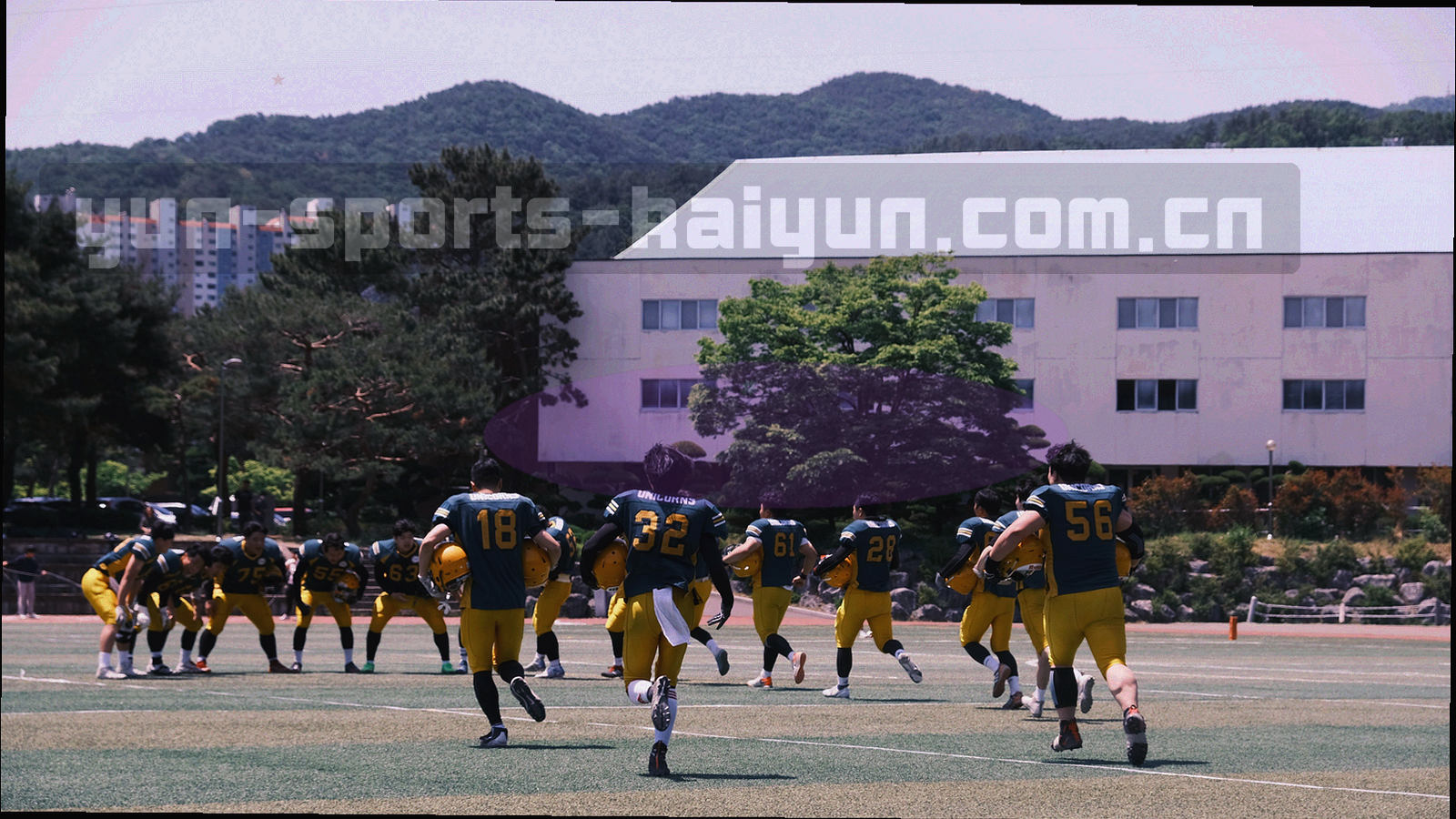 手机、平板与笔记本并排陈列，屏幕均显示深色赛事面板